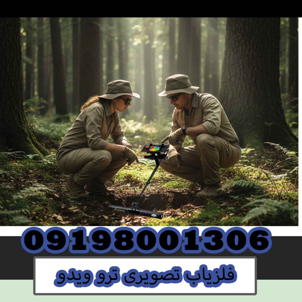 فلزیاب تصویری ترو ویدو