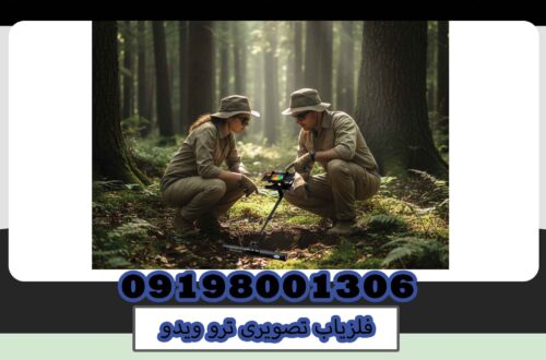 فلزیاب تصویری ترو ویدو