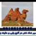 Interpretation of the camel symbol in treasure hunting
