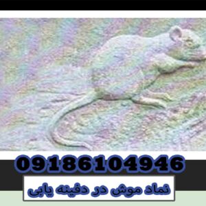 نماد موش در دفینه یابی