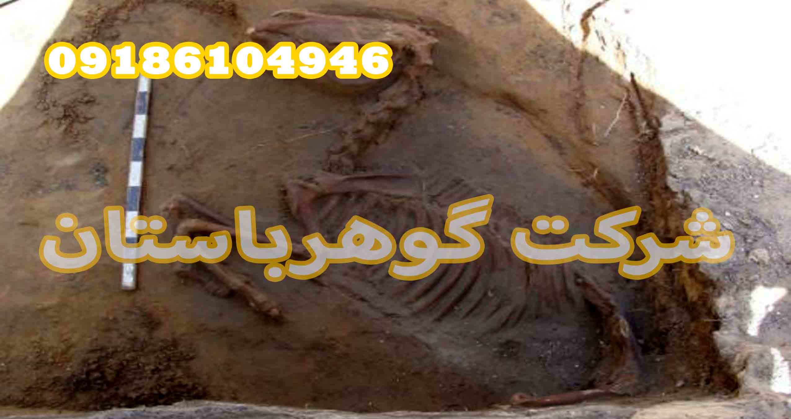 استخوان اسب در دفینه یابی