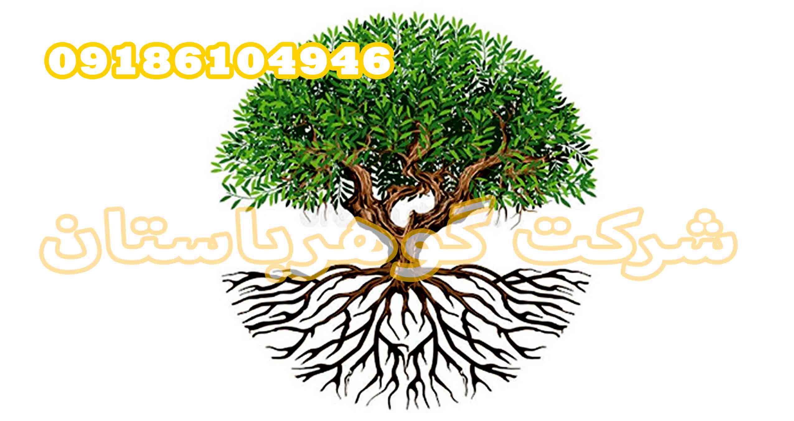 درخت حیات یا درخت زندگی