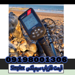 Simplex metal detector price